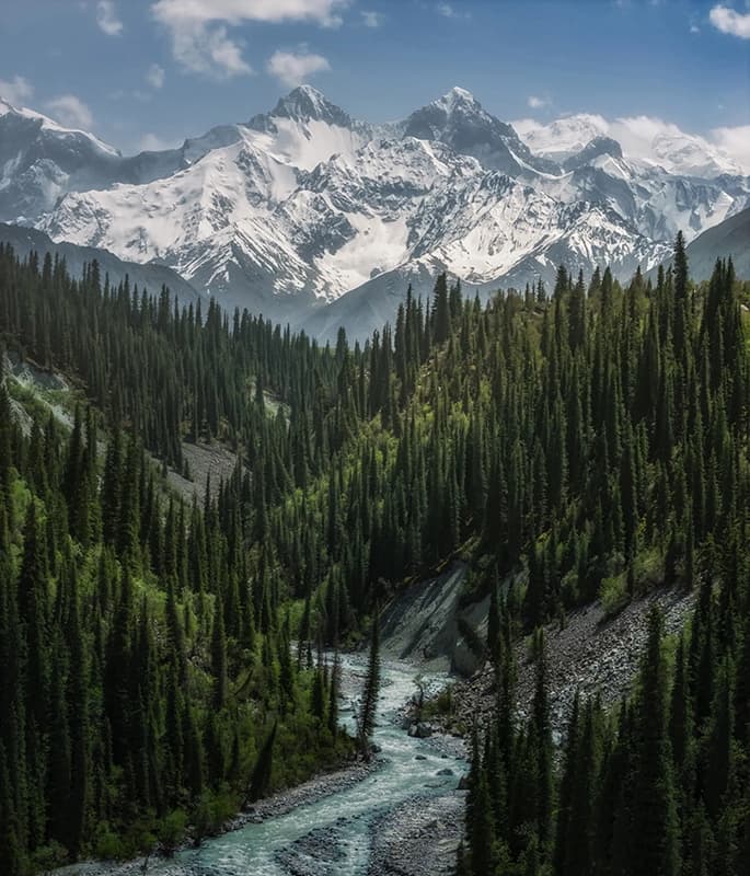 Glacier Valley detail view 2