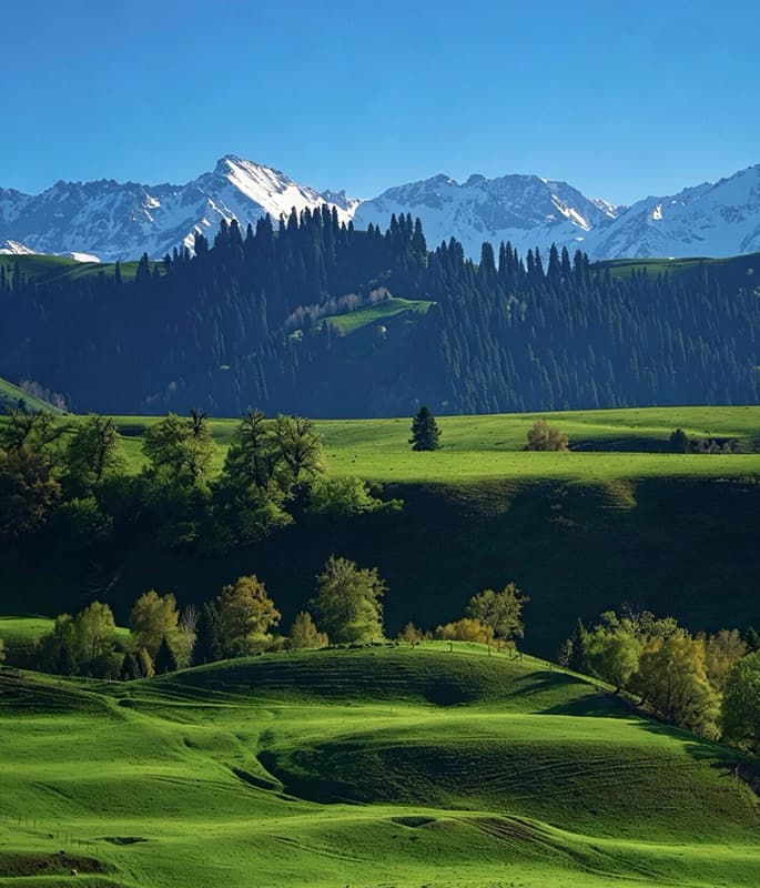 Nalati Grassland detail view 16
