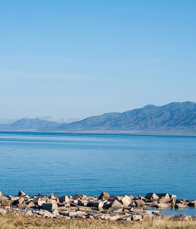 Sayram Lake detail view 10