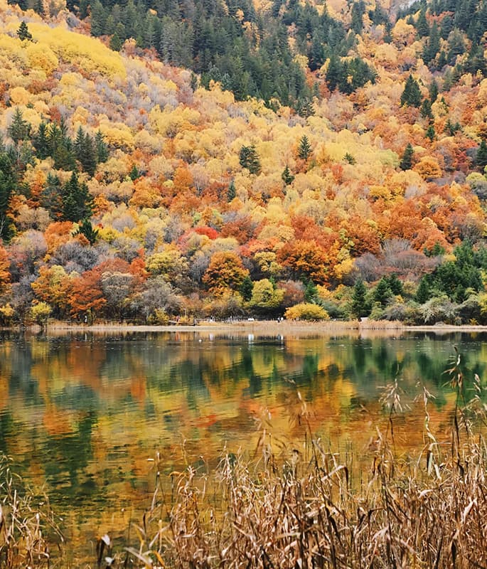 Jiuzhaigou National Park detail view 3