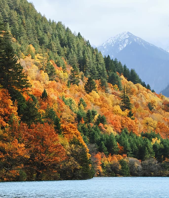 Jiuzhaigou National Park detail view 4