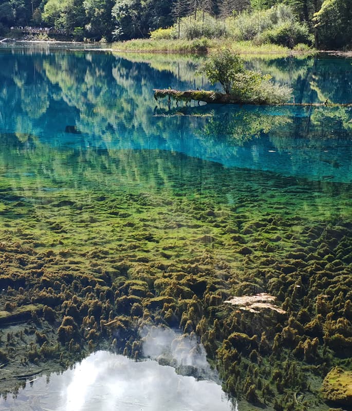 Jiuzhaigou National Park detail view 5