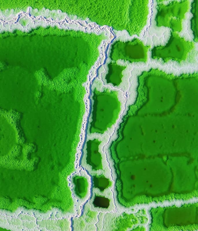 Chaerhan Salt Lake detail view 2