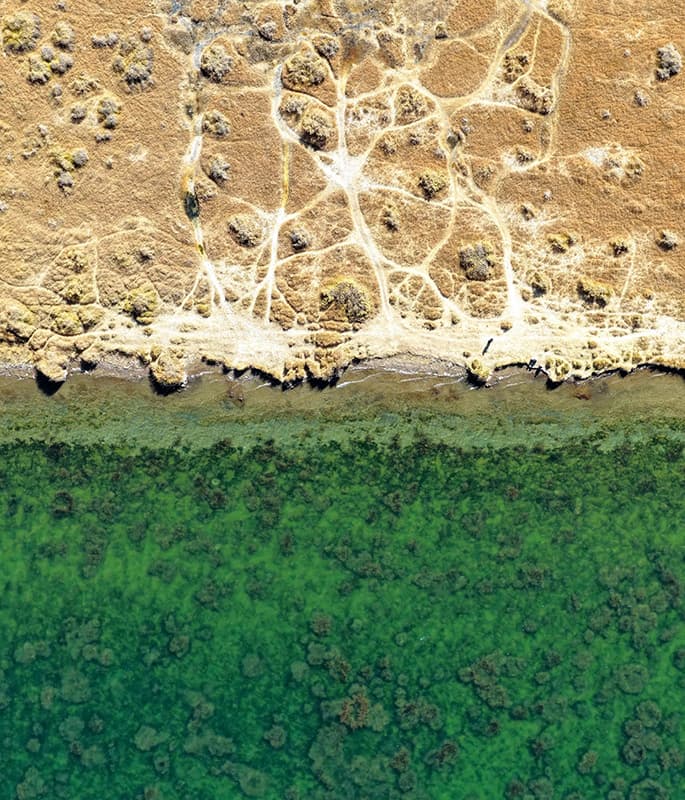 Xiaochaidan Lake detail view 4